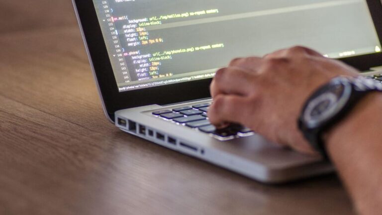 Make Money From WordPress Plugins