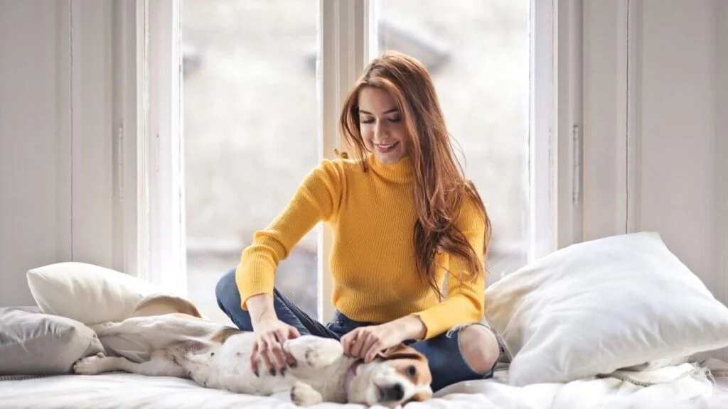 Pet Sitting Jobs