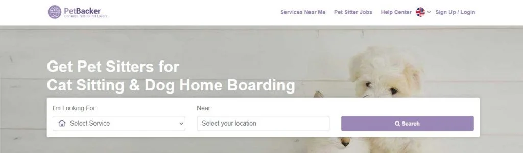 pet sitting jobs