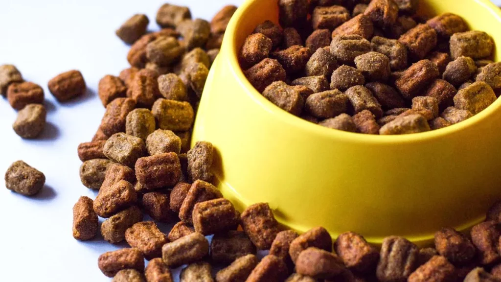 Free Pet Food