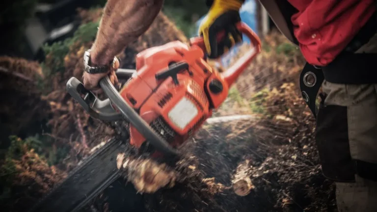 Free Tree Removal