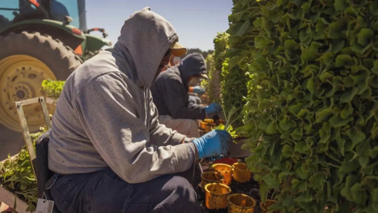 Companies Hiring Seasonal Workers
