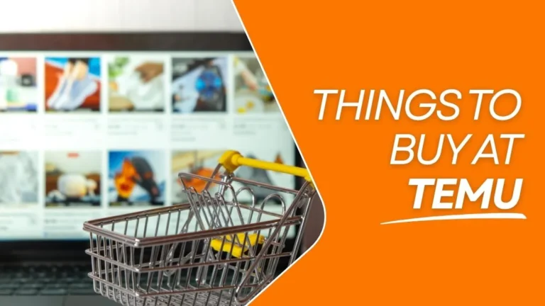 Things to Buy at Temu